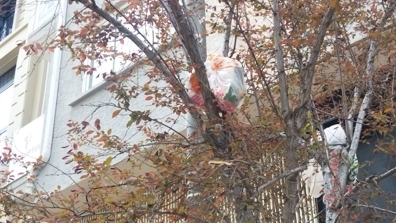 Ağacı çöp kutusuna çevirdiler