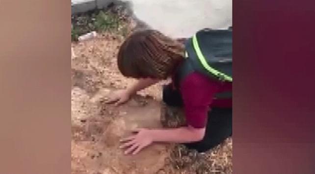 Ağacı kesilen çocuk gözyaşlarını tutamadı