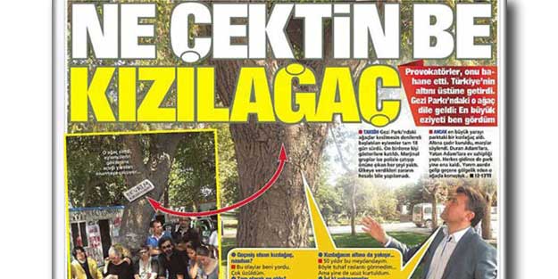 Ağaçla röportaj yapmıştı! Veda etti…