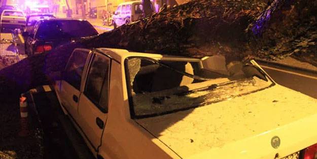 Ağaçlar devrildi! Araçlar hurdaya döndü