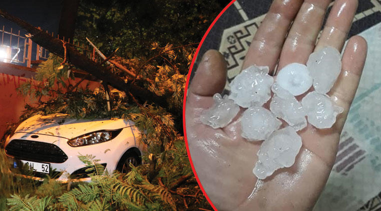 Ağaçlar devrildi, yollar kapandı… Hayatı felç etti