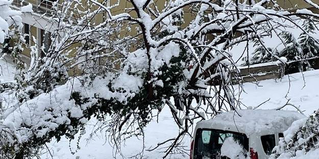 Ağaçlar ev ve araçların üzerine devrildi