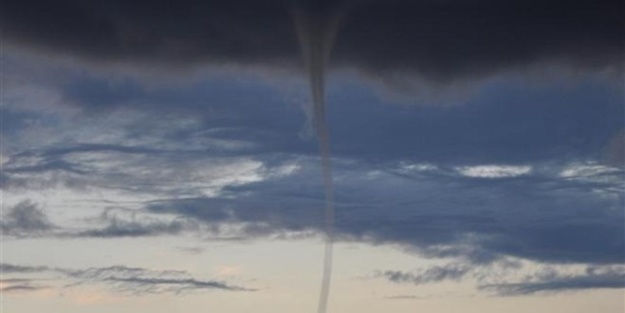 Ağaçlar sokak hayvanları havada uçtu!