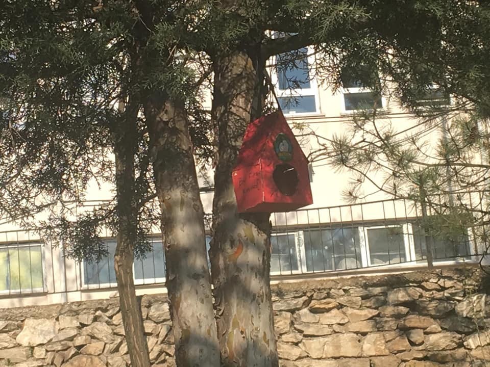 Ağaçlara kuş evler monte edildi 