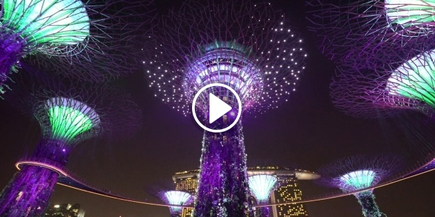 Ağaçların dansı, izleyenleri hayran bıraktı