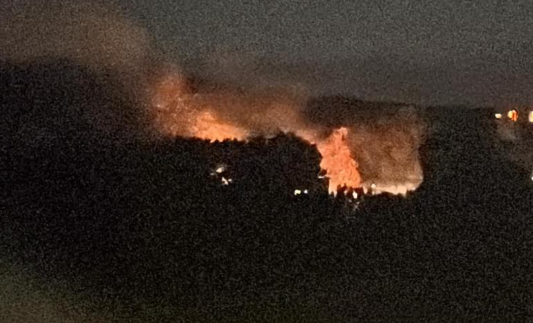 Ağaçlık alanda korkutan yangın