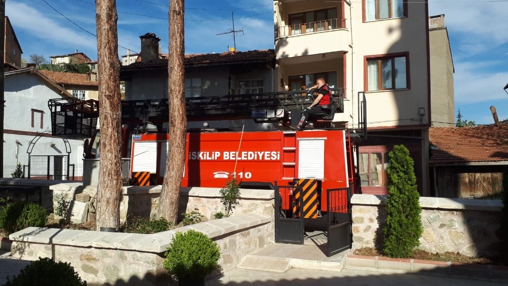 Ağaçta mahsur kalan kediyi itfaiye kurtardı 