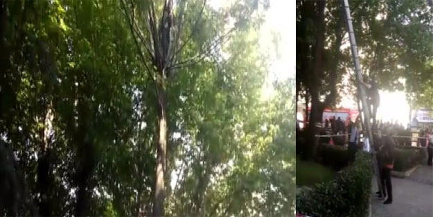 Ağaçtaki kediyi kurtardı, kendi mahsur kaldı