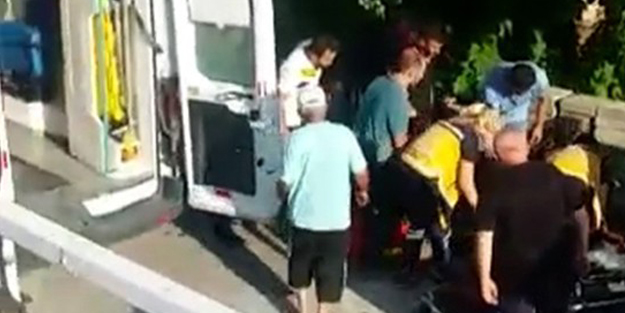 Ağaçtan düşen adam hayatını kaybetti