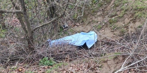 Ağaçtan düşen çiftçi vefat etti