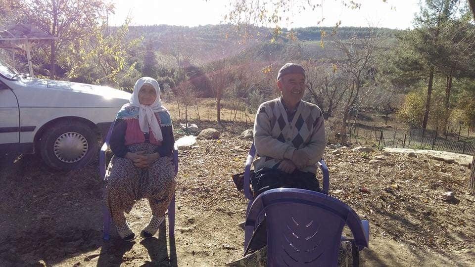 Ağaçtan düşen yaşlı kadın hayatını kaybetti 