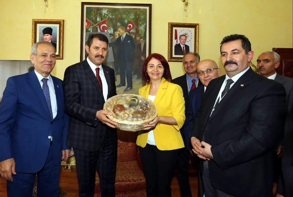 AGC Başkanı Şener, TGF Başkanlar Konsey yoplantısına katıldı 