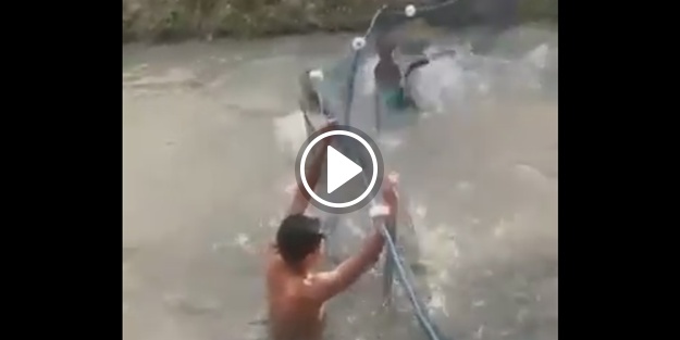 Ağdan uçarak kaçan balıklar