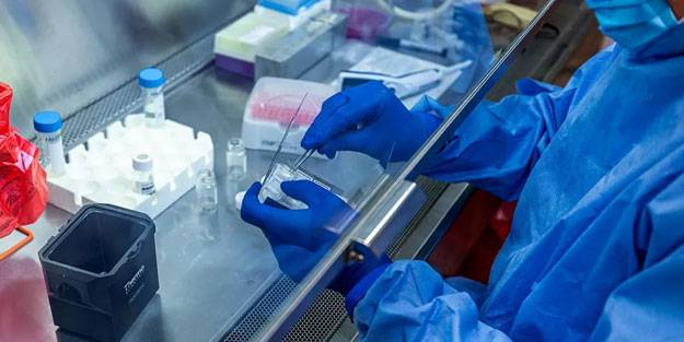 Ağızda eriyen aşı bantı için çalışma başlatıldı