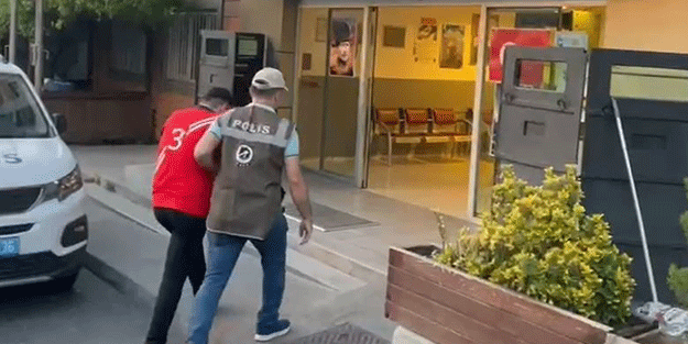 Ağızlıksız pitbull cinsi köpeğine kedi parçalattı! Zanlı hakkında karar...