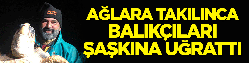 Ağlara takılınca balıkçıları şaşkına uğrattı