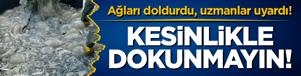 Ağları doldurdu, uzmanlar uyardı: Sakın dokunmayın