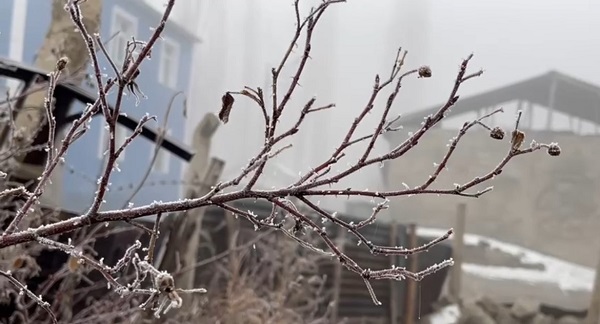 Ağrı yeniden buz tuttu!