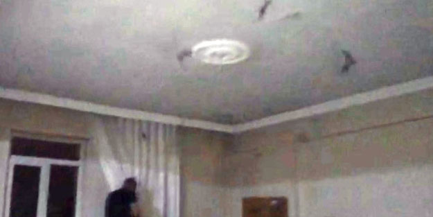 Ağrı’da 2 arkadaşın yaşadığı evi yarasalar bastı