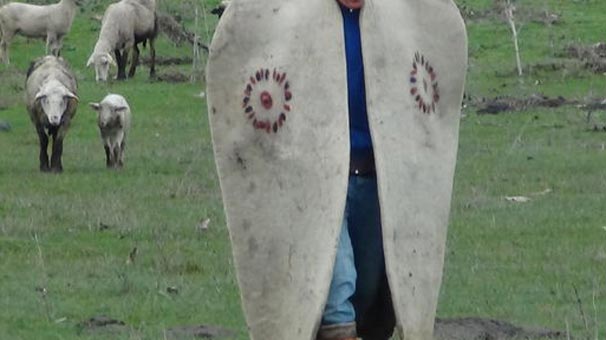 Ağrı’da 60 bin liraya bile çoban bulamıyorlar