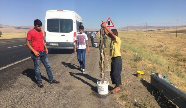 Ağrı'da derelerden tutup, yol kenarında satıyorlar
