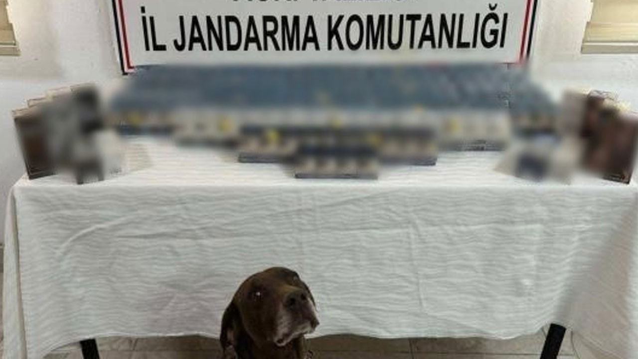 Ağrı'da kaçakçılık operasyonu