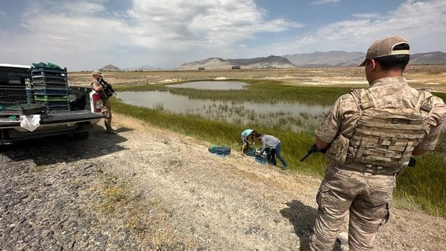 Ağrı'da kurbağa kaçakçılarına 1 milyon lira ceza verildi