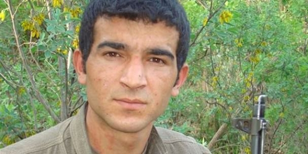 Ağrı'da öldürülen PKK'lı bakın kim çıktı!
