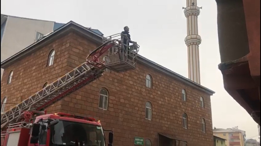 Ağrı’da tele takılan güvercin itfaiye ekipleri tarafından kurtarıldı 