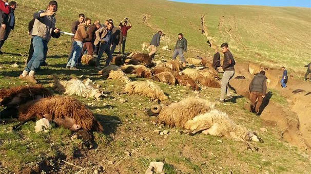 Korkunç manzara! Kürtulan yok...