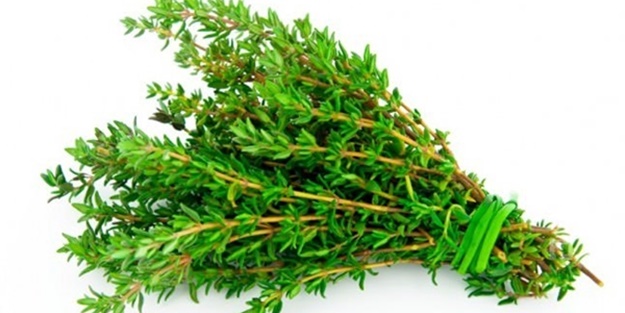 Ağrıyan yere sürerseniz...