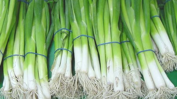 Ağustos ayının zam şampiyonu belli oldu