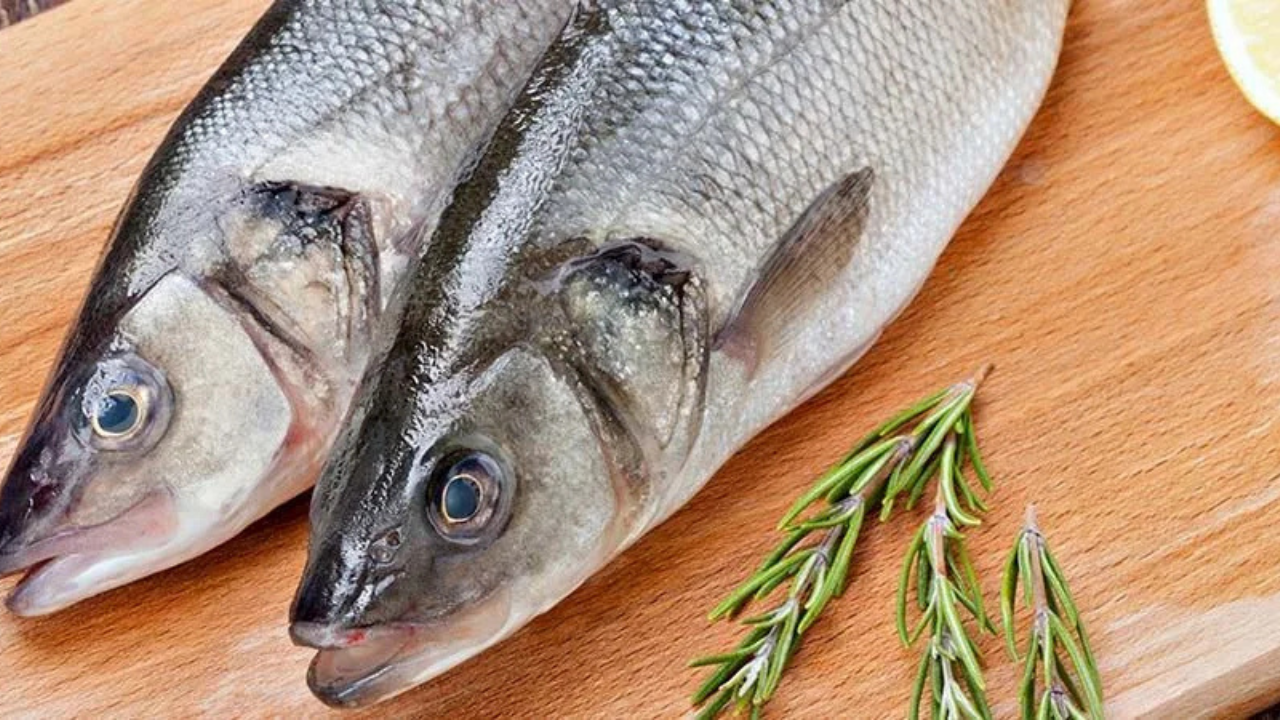 Ağustos’ta hangi balık yenir? İşte yaz sofralarını şenlendirecek en lezzetli türler!