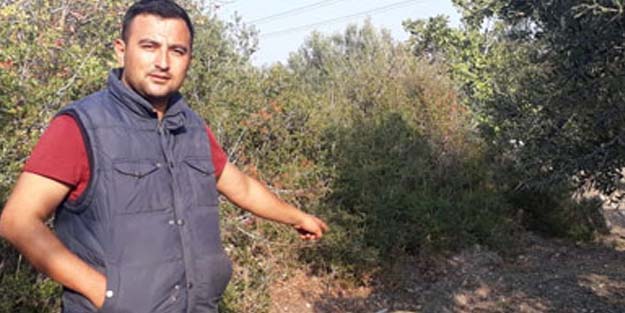 Ağzını ve ayaklarını bağlayıp ölüme terk ettiler