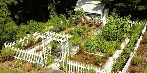 ‘Ah bir bahçem olsa’