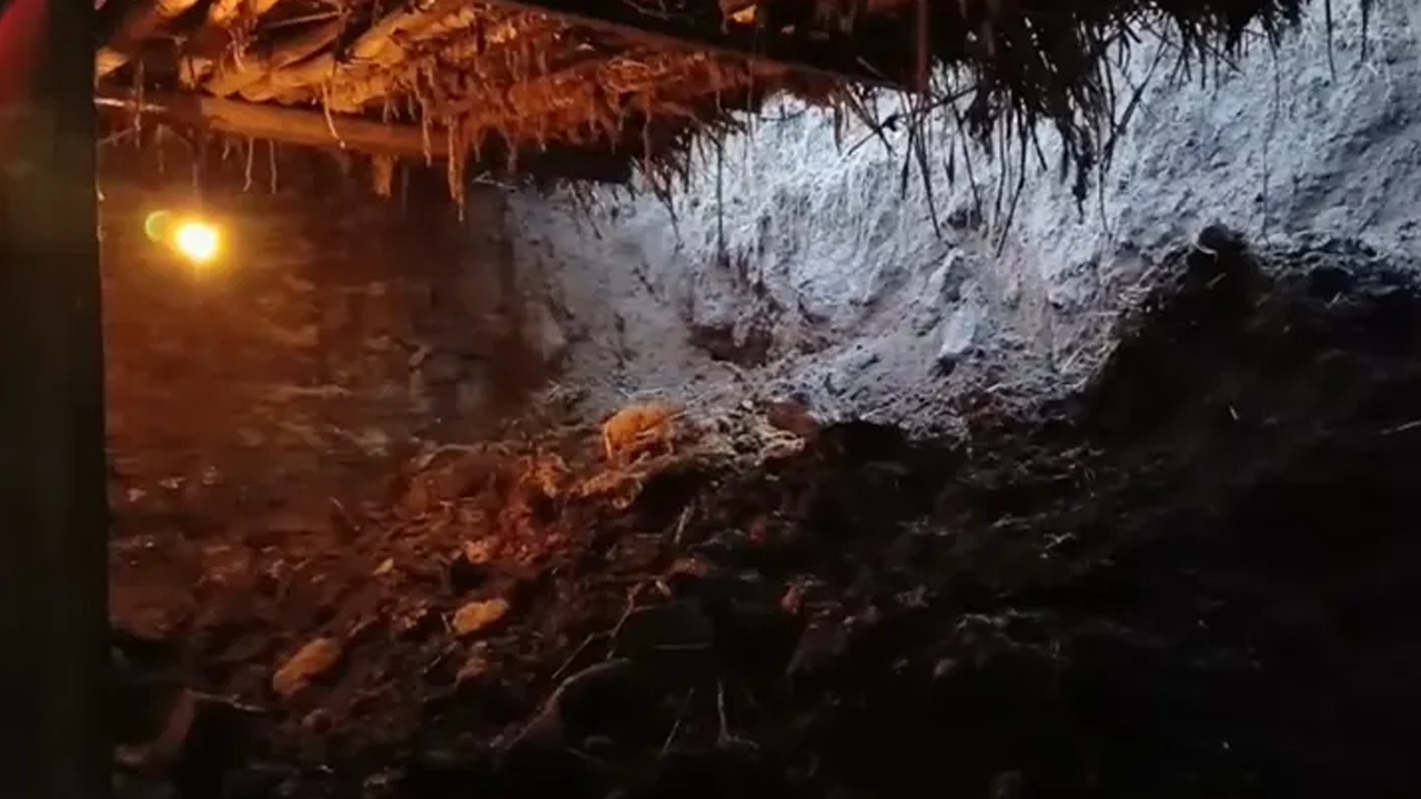 Ahır çöktü, 20 koyun telef oldu!