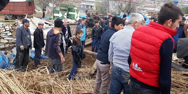 Ahır çöktü, hayvanlar telef oldu! Köy halkı seferber oldu