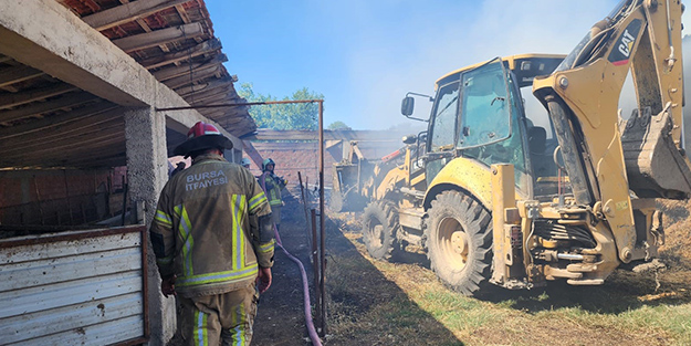 Ahır küle döndü hayvanlar yanarak telef oldu