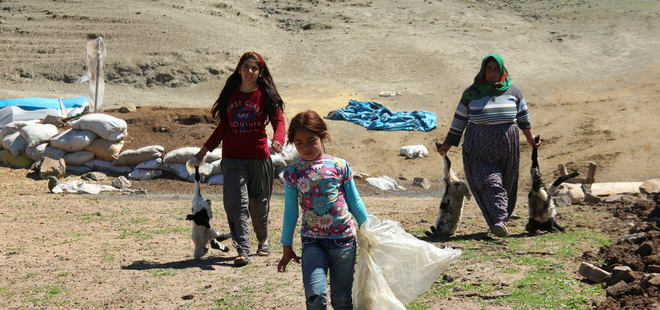 Ahıra girdiklerinde şaşkına döndüler!