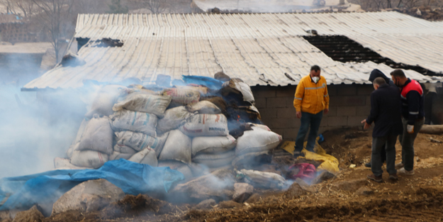 Ahırda çıkan yangında 171 kuzu telef oldu