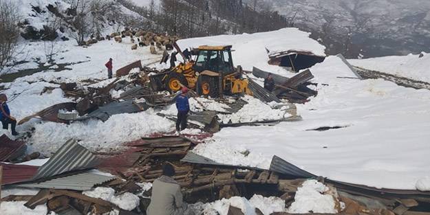 Ahırın çatısı çöktü, küçükbaş hayvanlar telef oldu