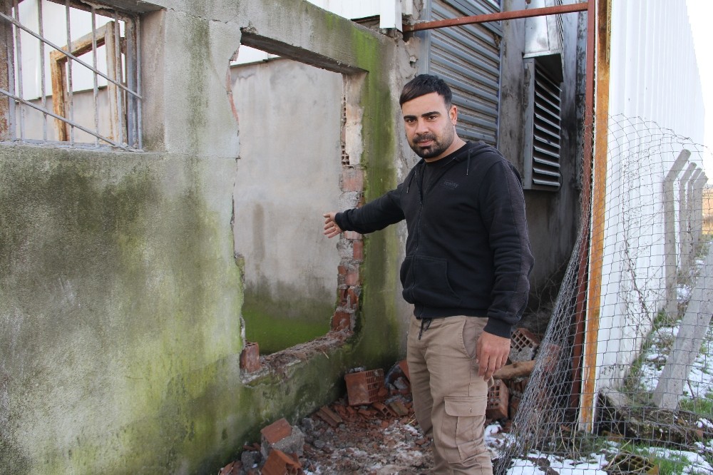 Ahırın duvarını kırıp 57 koyunu çaldılar 