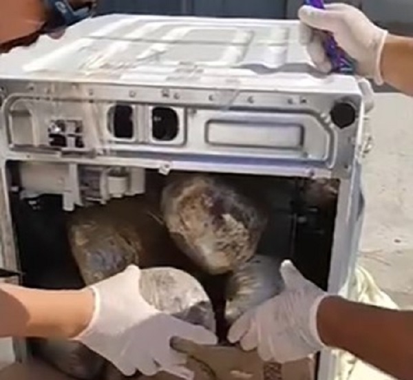 Ahlaksızlardan her gün yeni bir taktik! Çamaşır makinesinden bakın ne çıktı