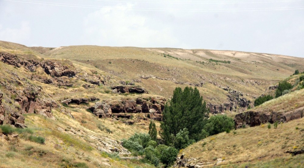 Ahlat sazlıkları ve Madavans Vadisi ‘kesin korunacak hassas alan’ ilan edildi 