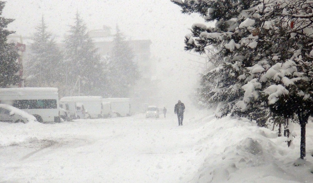 Ahlat’ta kar ve tipi esareti 