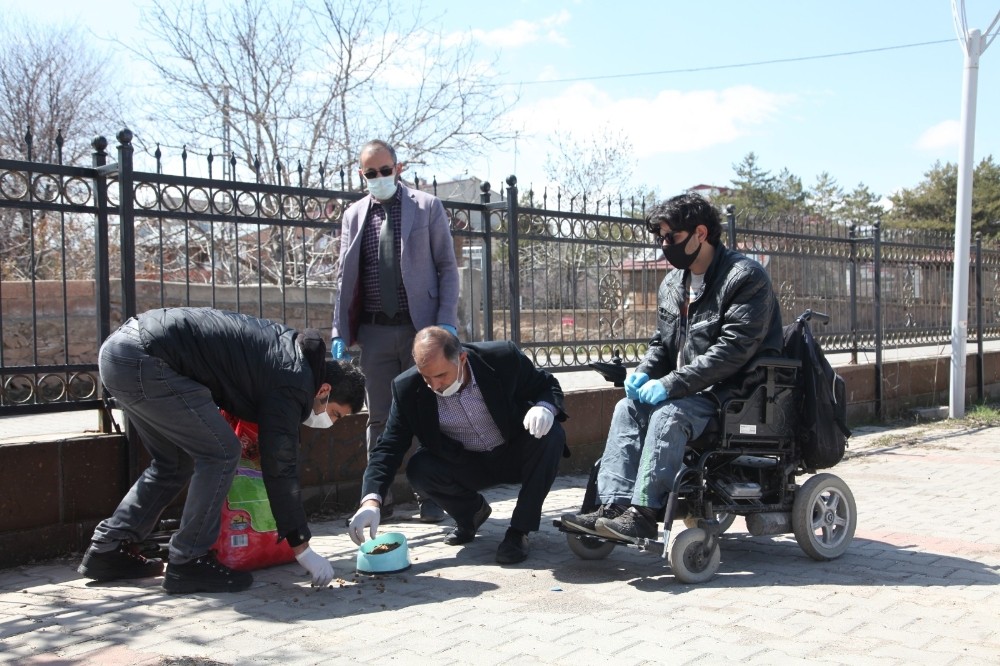 Ahlat’ta sokak hayvanları unutulmadı 