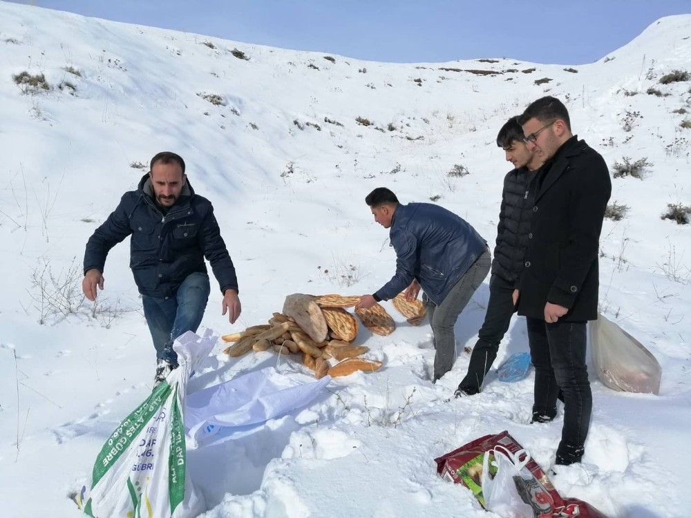 Ahlat’ta yaban hayvanları için doğaya yem bırakıldı 