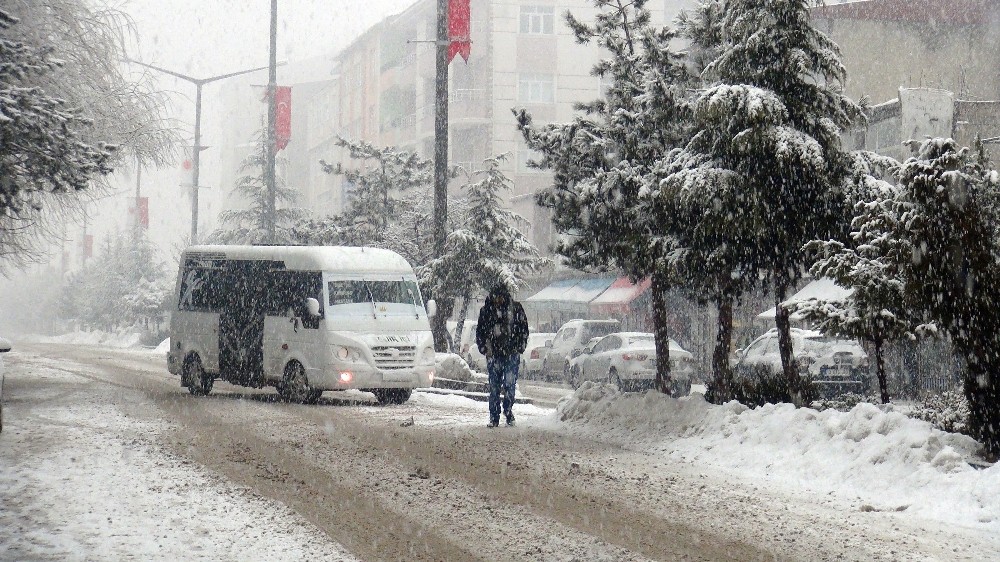 Ahlat’ta yoğun kar yağışı 