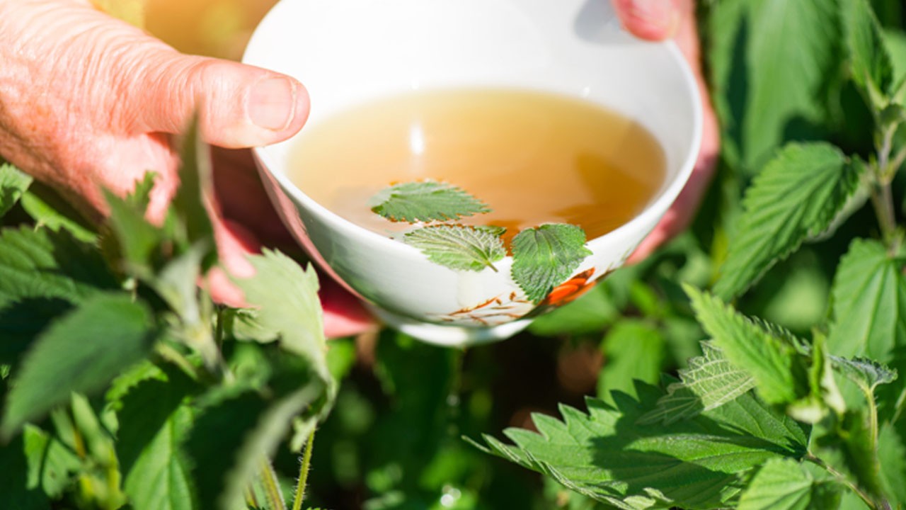 Ahmet Maranki'den tavsiye: Kandaki zehri atıyor!