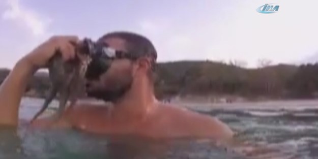Ahtapot yüzüne öyle bir yapıştı ki